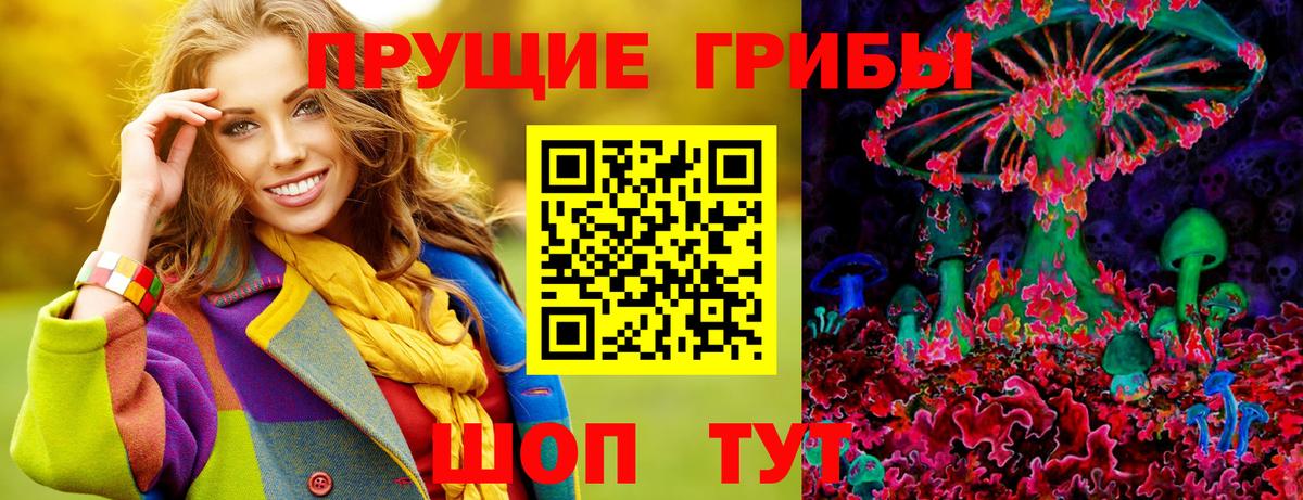 Псилоцибиновые грибы мухоморы Фрязино