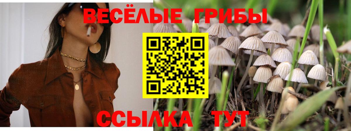 Псилоцибиновые грибы GOLDEN TEACHER  Вход с VPN  Фрязино 